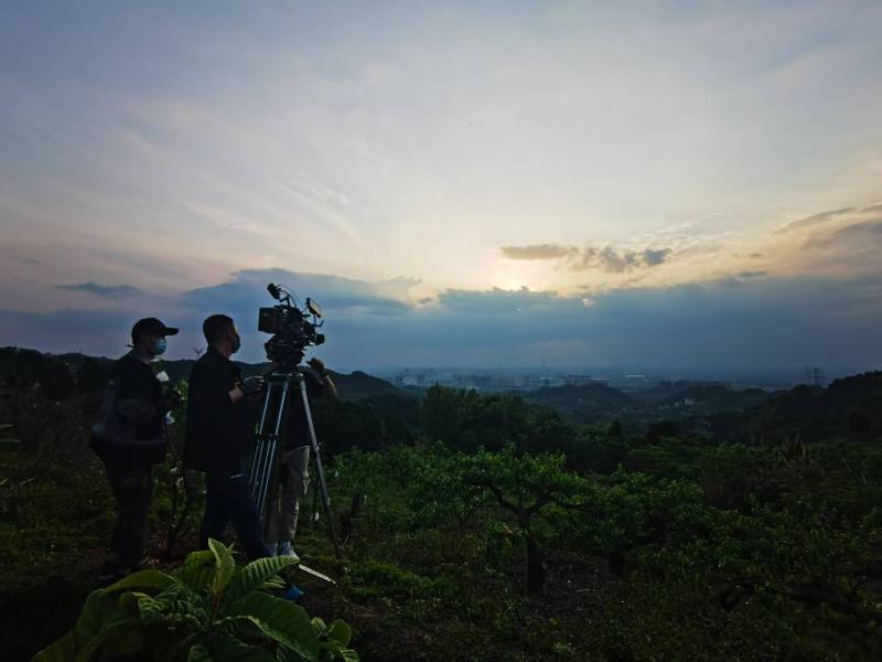 聚焦勉县产品宣传视频拍摄公司，用专业实力铸就品牌传播传奇