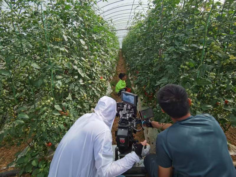 勉县产品宣传视频拍摄公司进阶指南，助力品牌抢占传播高地